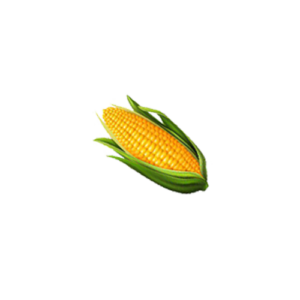 Mais